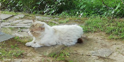 IMG_20210607_200657.jpg